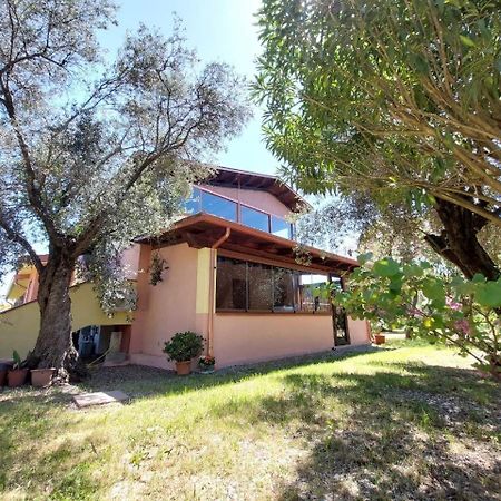Casa L' Antico Ulivo Apartment Iglesias Exterior photo